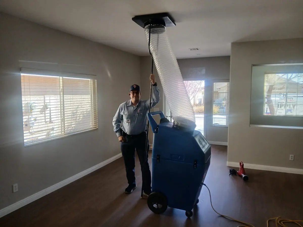Professional Dryer Vent Cleaning work inside a Prairie Grove home